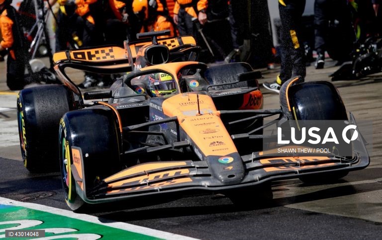 Max Verstappen vence GP de Fórmula 1 do Canadá 