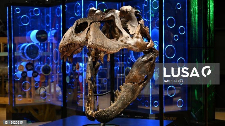 Austrália: Exposição Victoria T. Rex em Melbourne