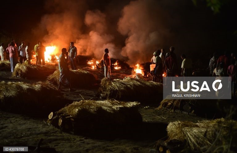 Índia: Pelo menos 38 mortos após alegadamente terem consumido bebidas alcoólicas falsificadas.