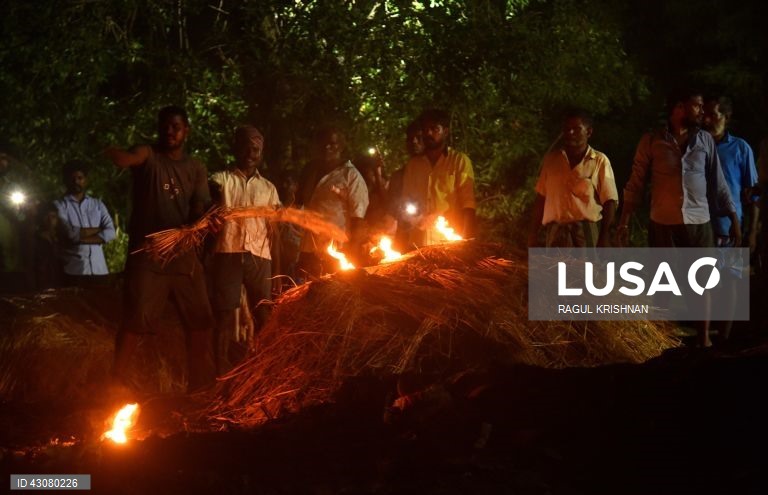 Índia: Pelo menos 38 mortos após alegadamente terem consumido bebidas alcoólicas falsificadas.