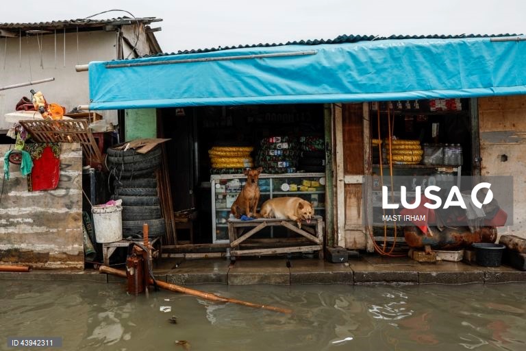 Inundações provocadas pela maré alta atingem Jacarta