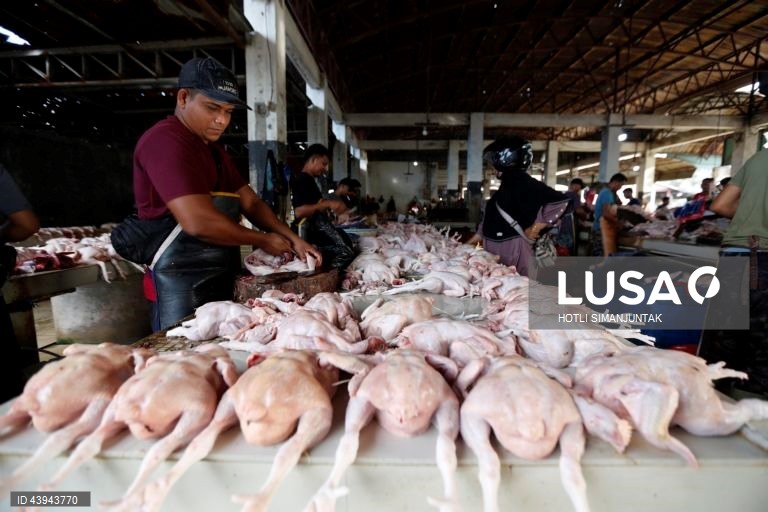 Indonésia: Mercado tradicional em Banda Aceh