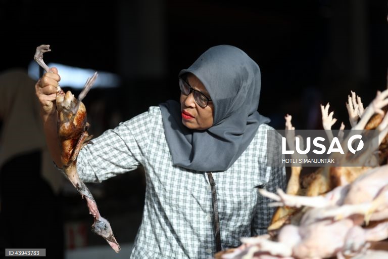 Indonésia: Mercado tradicional em Banda Aceh