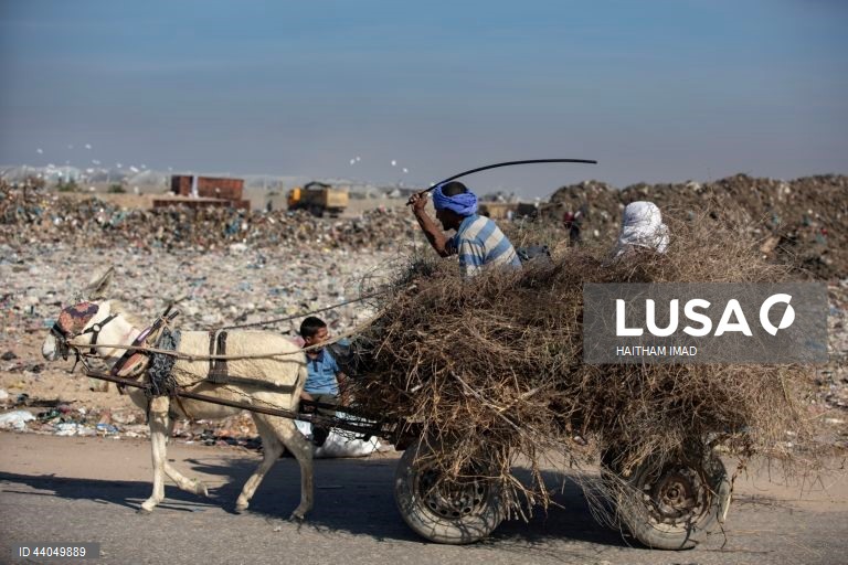 Palestinianos deslocados procuram por bens entre pilhas de lixo perto de Khan Younis