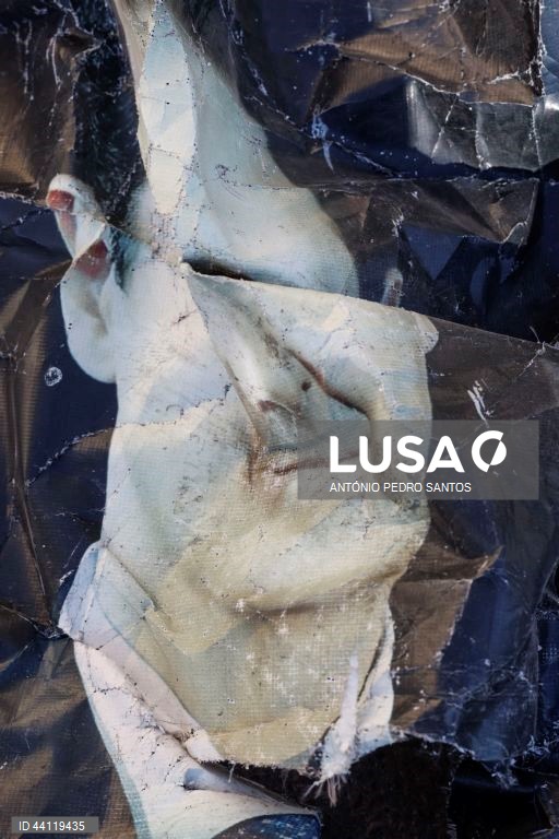 Síria: Retratos do presidente deposto Bashar al-Assad 