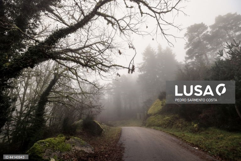 Frio em Vila Pouca de Aguiar