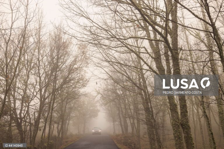 Frio em Vila Pouca de Aguiar