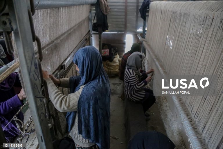 Exportações de tapetes afegãos aumentam com o apoio do governo