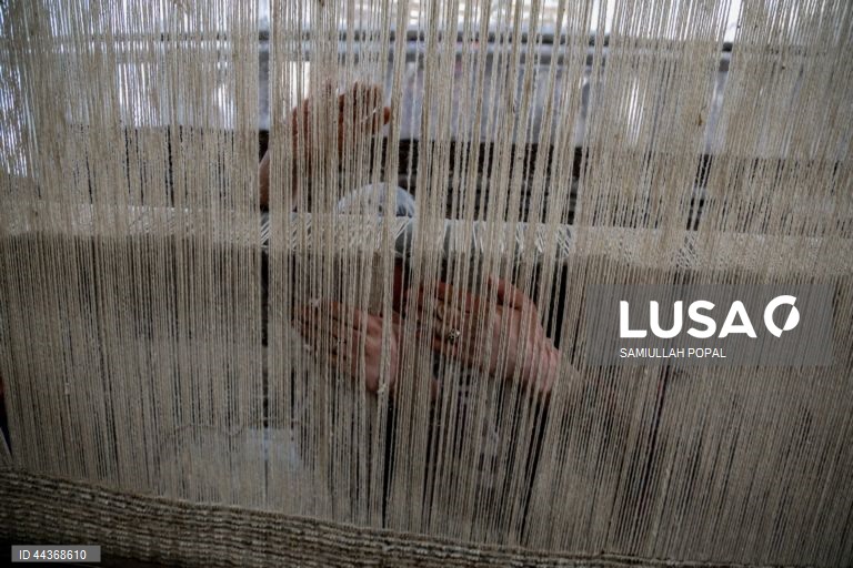 Exportações de tapetes afegãos aumentam com o apoio do governo