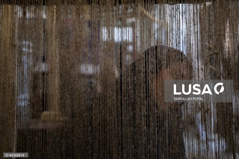 Exportações de tapetes afegãos aumentam com o apoio do governo