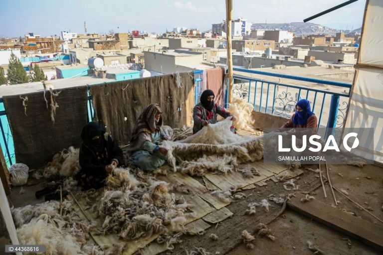Exportações de tapetes afegãos aumentam com o apoio do governo