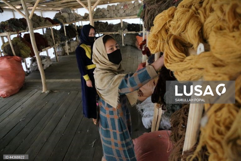 Exportações de tapetes afegãos aumentam com o apoio do governo