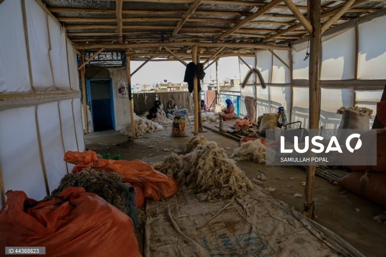 Exportações de tapetes afegãos aumentam com o apoio do governo