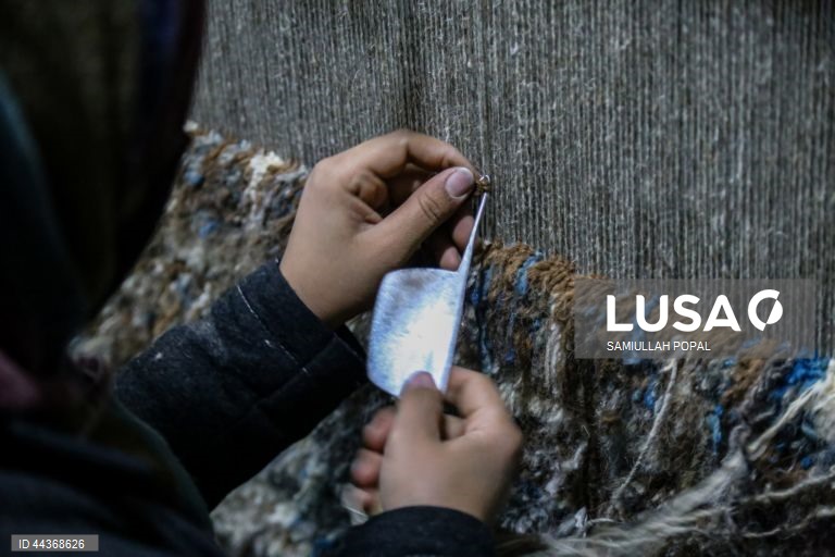 Exportações de tapetes afegãos aumentam com o apoio do governo