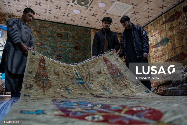 Exportações de tapetes afegãos aumentam com o apoio do governo