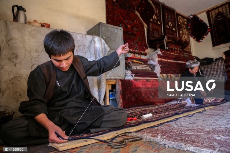 Exportações de tapetes afegãos aumentam com o apoio do governo