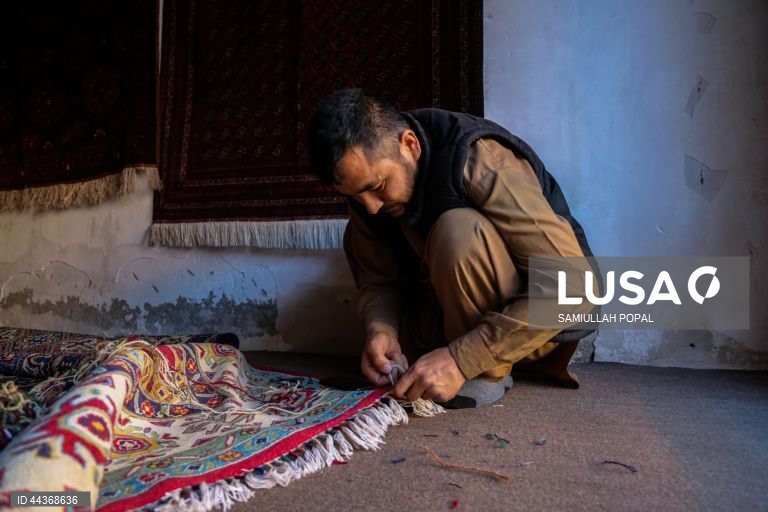 Exportações de tapetes afegãos aumentam com o apoio do governo