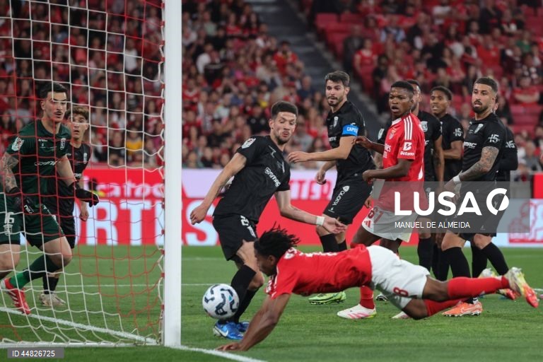 Futebol: Taça de Portugal - Benfica vs Tirsense