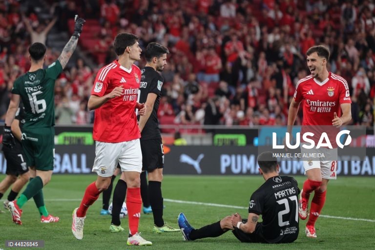 Futebol: Taça de Portugal - Benfica vs Tirsense