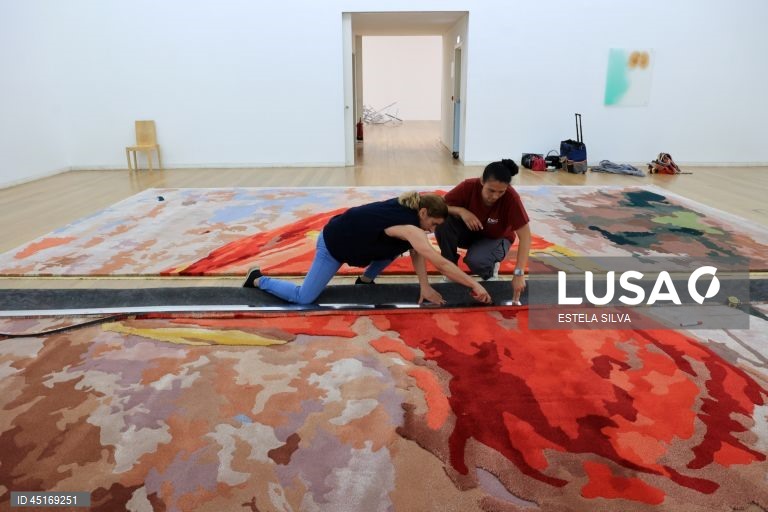 Serralves: Visita de imprensa à exposição "Provas Materiais" 