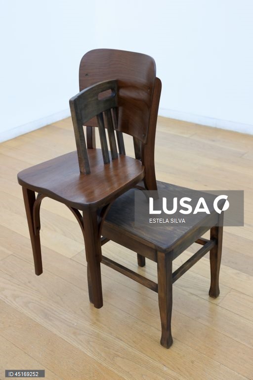 Serralves: Visita de imprensa à exposição "Provas Materiais" 