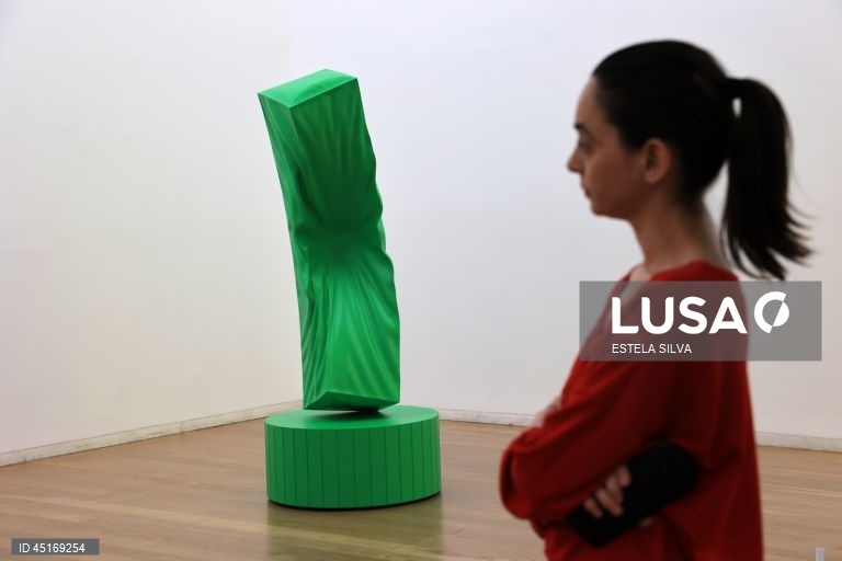 Serralves: Visita de imprensa à exposição "Provas Materiais" 