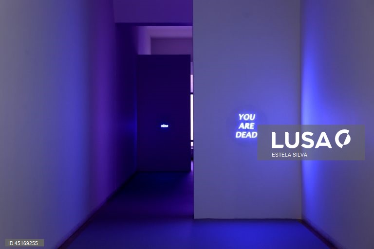 Serralves: Visita de imprensa à exposição "Provas Materiais" 