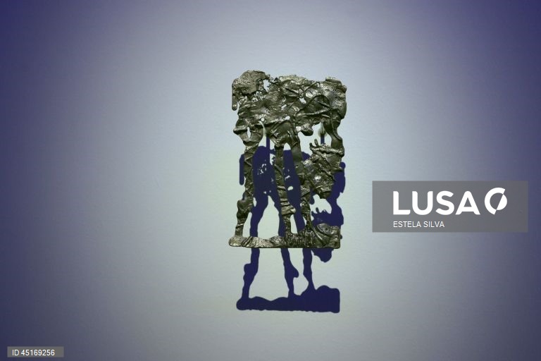 Serralves: Visita de imprensa à exposição "Provas Materiais" 