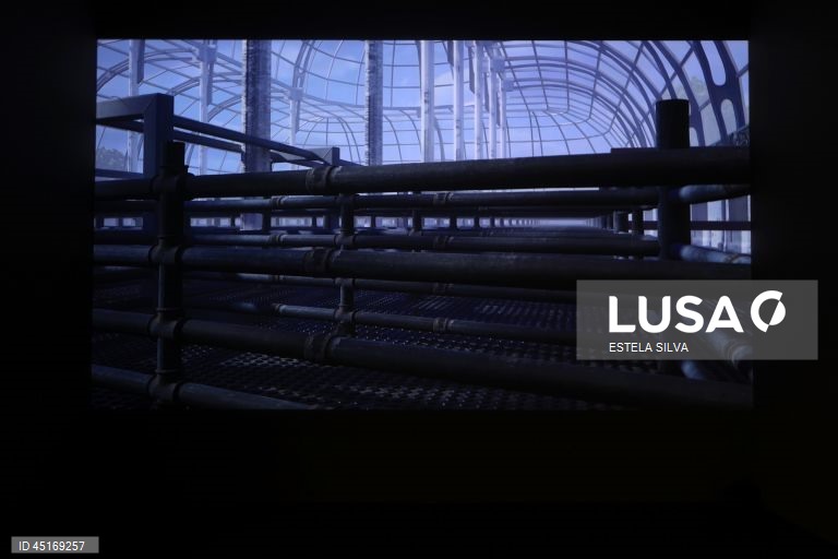 Serralves: Visita de imprensa à exposição "Provas Materiais" 