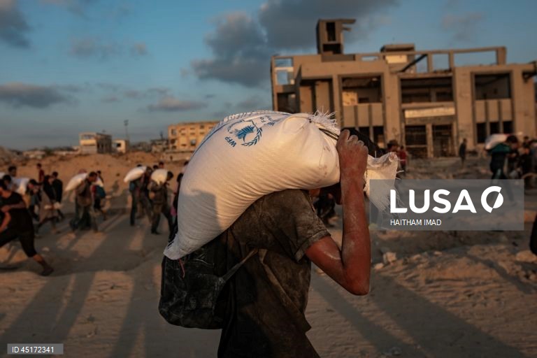 Palestina: Distribuição de sacos de farinha em Jabalia