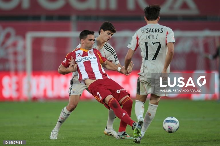 I Liga: AVS vs Benfica