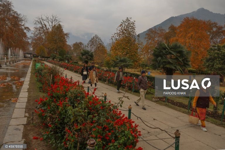 Índia: Quotidiano em Srinagar, Caxemira