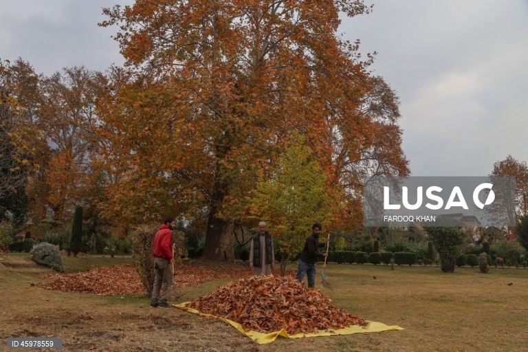 Índia: Quotidiano em Srinagar, Caxemira