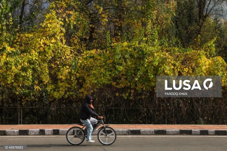 Índia: Quotidiano em Srinagar, Caxemira