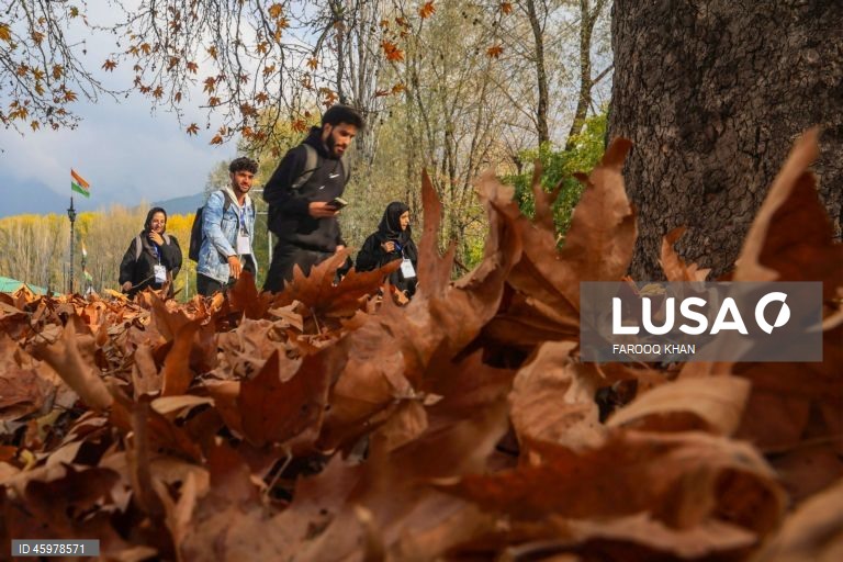 Índia: Quotidiano em Srinagar, Caxemira