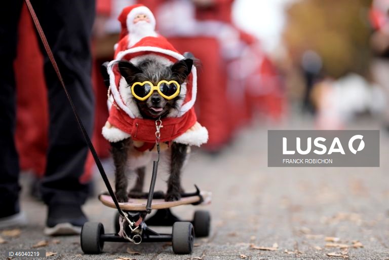 O «Desfile do Pai Natal» é uma tradição de inverno e um evento de caridade que leva a alegria do Natal às crianças que lutam contra doenças no Japão, entregando-lhes presentes. 
