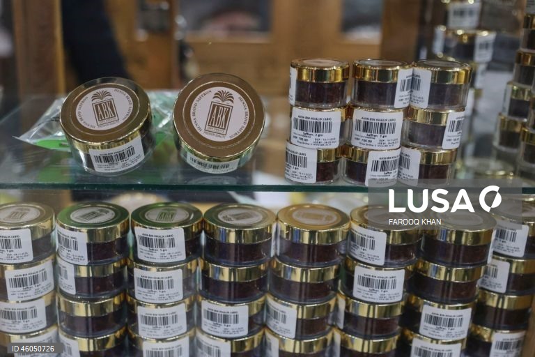 Índia: Cultivo do açafrão em Caxemira