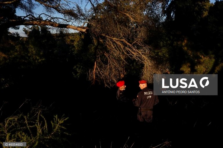 Agentes da Polícia de Segurança Pública (PSP) durante o exercício nacional "Fénix", no âmbito do Apoio Militar de Emergência, no Parque Florestal de Monsanto, em Lisboa, 18 de novembro de 2025. O exercício decorreu na região de Lisboa, envolvendo mais de 300 operacionais e mais de 100 viaturas, com o objetivo de testar e validar a resposta coordenada do Sistema de Apoio Militar de Emergência do Exército às solicitações de apoio da Autoridade Nacional de Emergência e Proteção Civil (ANEPC), em...