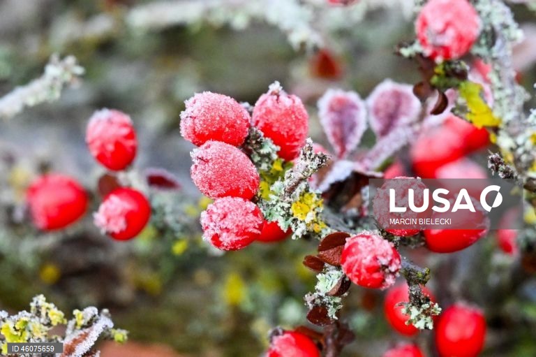 Polónia: Geada matinal em Szczecin