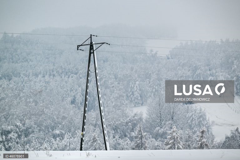 Polónia: Forte nevão no sudeste