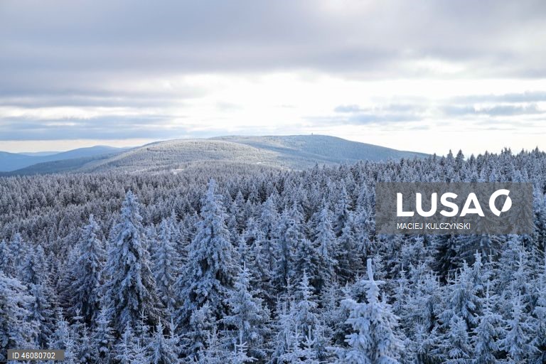 Polónia: Forte nevão no sudeste