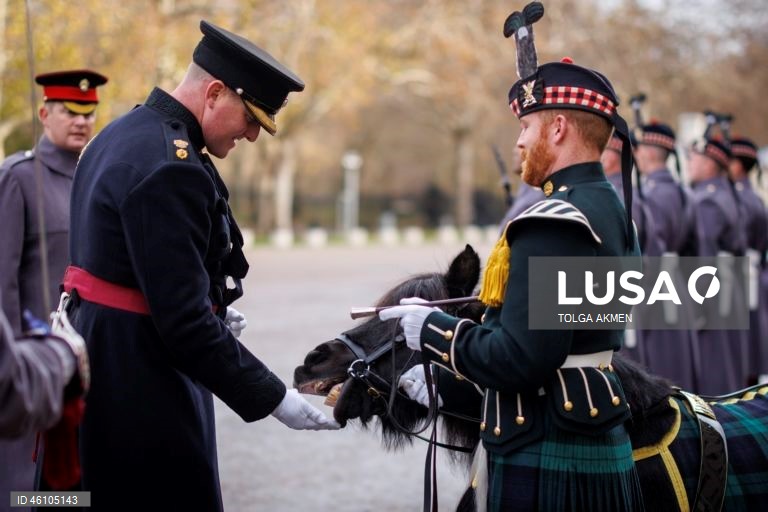 Empresa Balaklava pronta para assumir as funções cerimoniais da Guarda Real em Londres