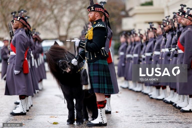 Empresa Balaklava pronta para assumir as funções cerimoniais da Guarda Real em Londres