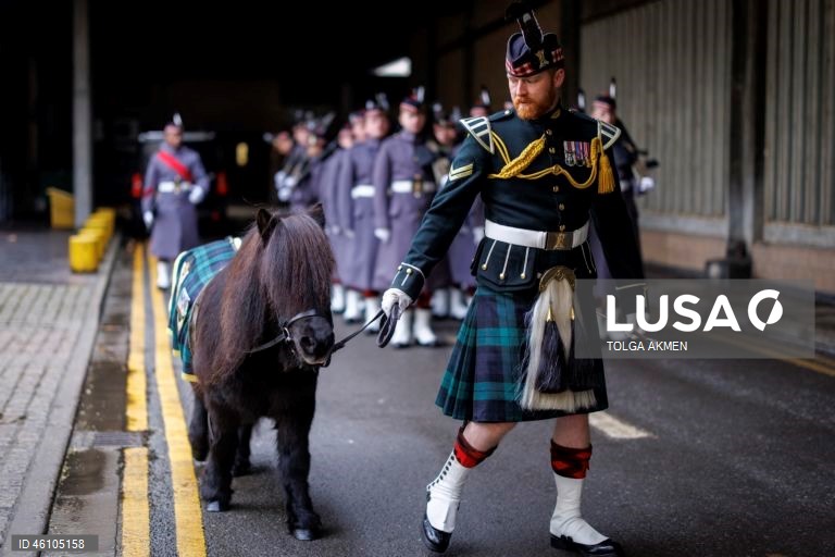 Empresa Balaklava pronta para assumir as funções cerimoniais da Guarda Real em Londres