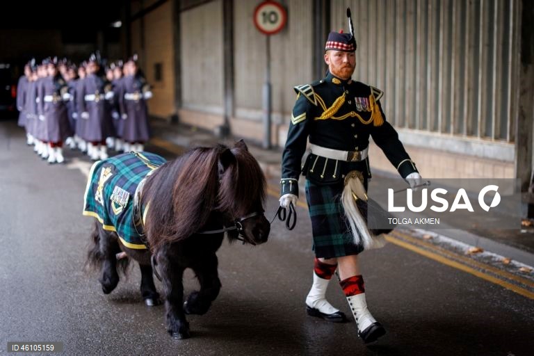 Empresa Balaklava pronta para assumir as funções cerimoniais da Guarda Real em Londres