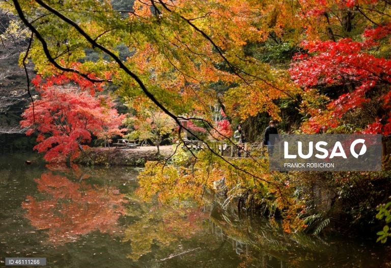 Japão: Cores de outono em Tóquio