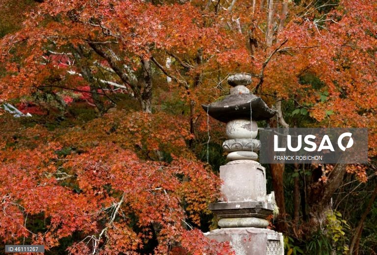 Japão: Cores de outono em Tóquio