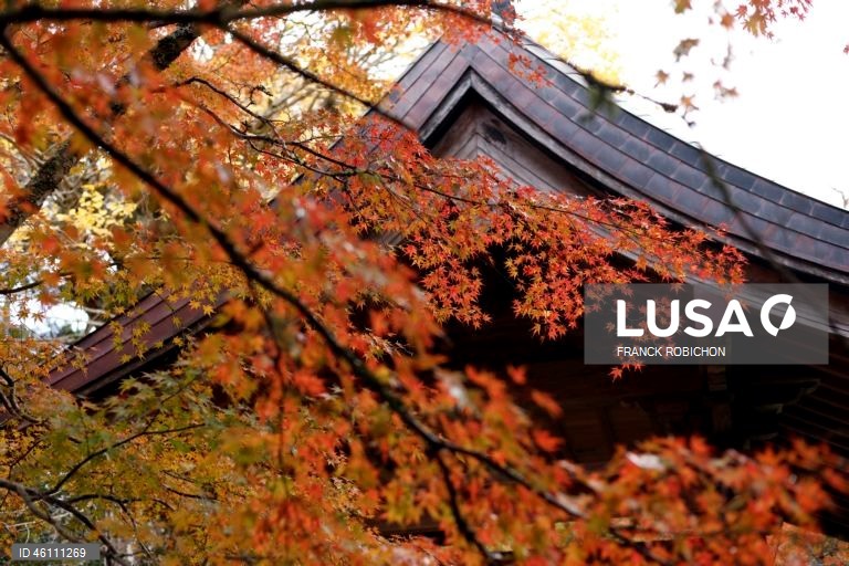 Japão: Cores de outono em Tóquio