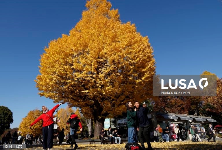 Japão: Cores de outono em Tóquio