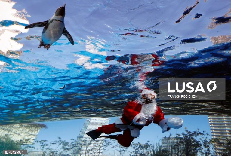 Pai Natal no Aquário de Tóquio